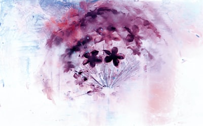 紫花图